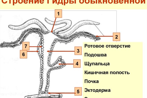 Кракен зайти зеркало