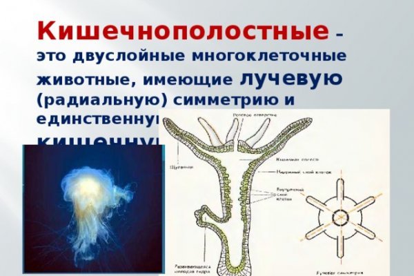 Кракен магазин kr2web in тор