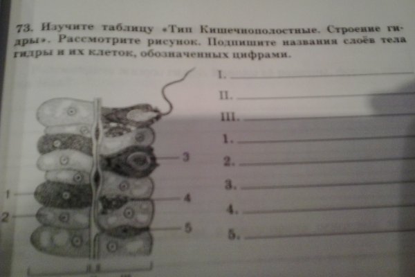 Кракен зеркало 2kraken biz